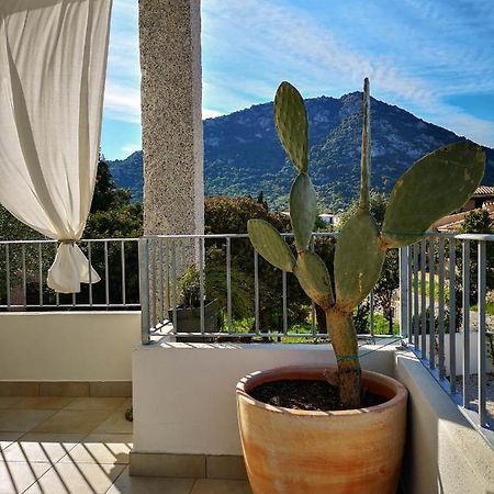 B&B Limone San Teodoro  Exteriör bild